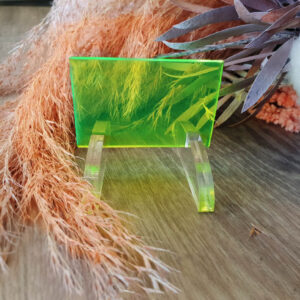 Fluro Green Tint Acrylic Sheet - FLUTNT993